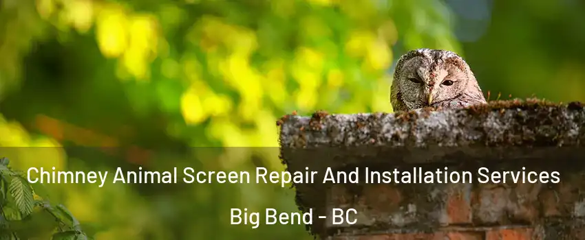  Chimney Animal Screen Repair And Installation Services Big Bend - BC