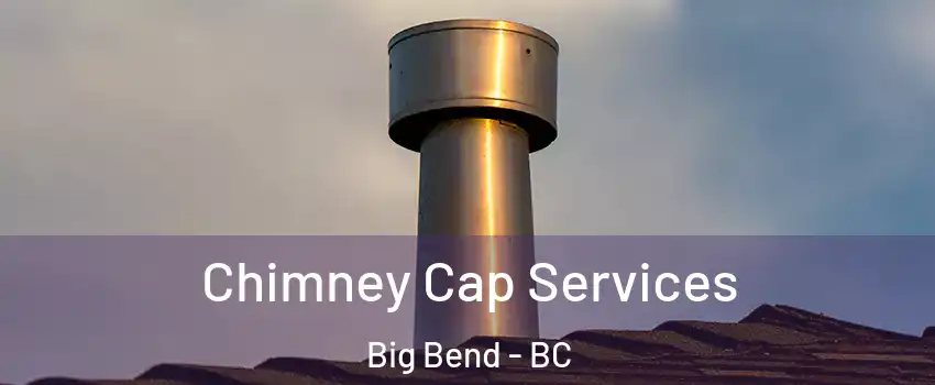  Chimney Cap Services Big Bend - BC