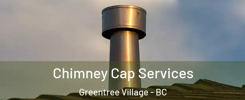  Chimney Cap Services Greentree Village - BC