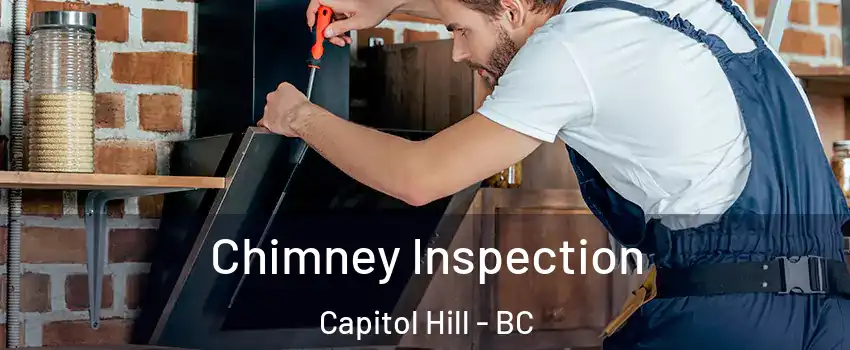  Chimney Inspection Capitol Hill - BC