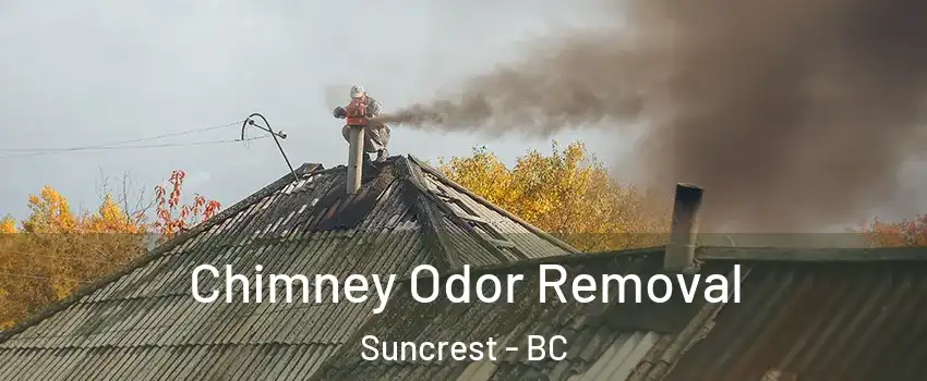  Chimney Odor Removal Suncrest - BC