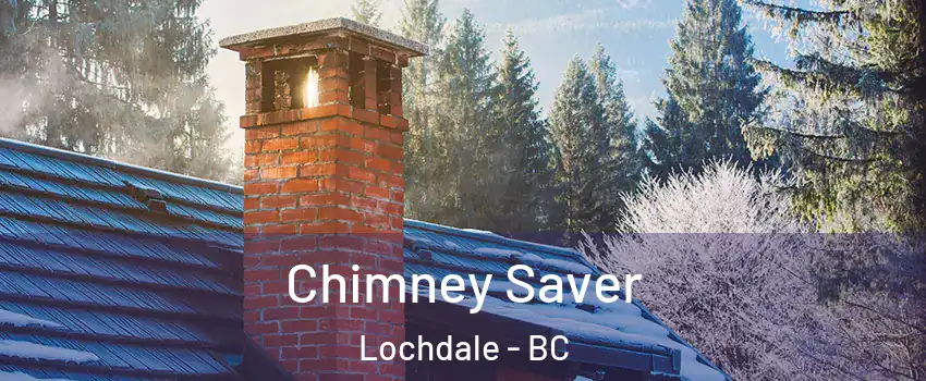 Chimney Saver Lochdale - BC