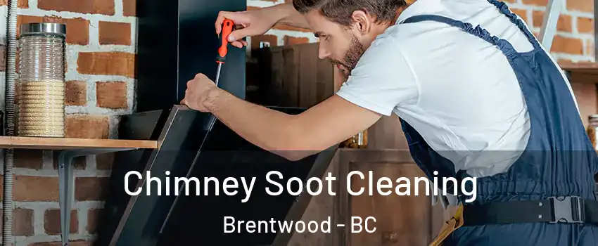  Chimney Soot Cleaning Brentwood - BC