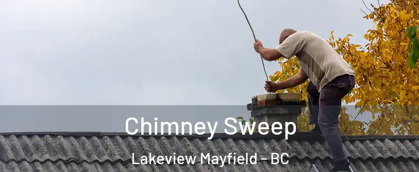  Chimney Sweep Lakeview Mayfield - BC