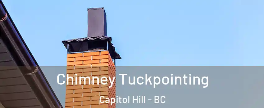  Chimney Tuckpointing Capitol Hill - BC