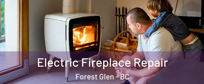  Electric Fireplace Repair Forest Glen - BC