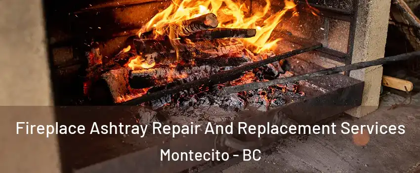  Fireplace Ashtray Repair And Replacement Services Montecito - BC