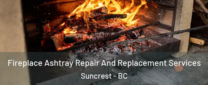  Fireplace Ashtray Repair And Replacement Services Suncrest - BC
