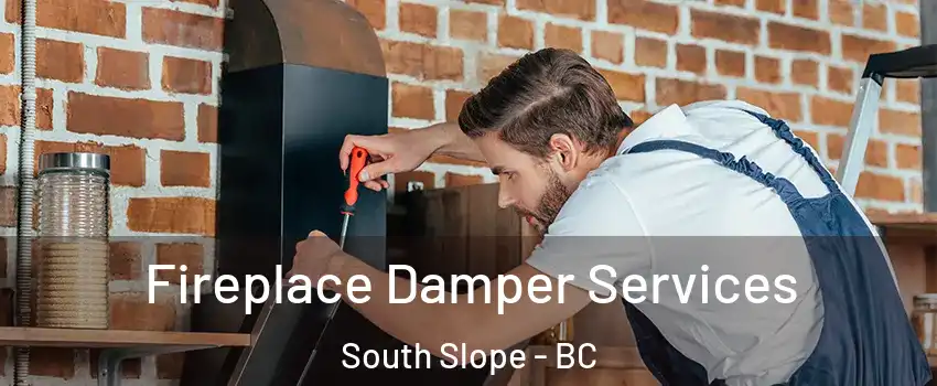  Fireplace Damper Services South Slope - BC