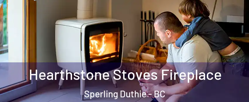  Hearthstone Stoves Fireplace Sperling Duthie - BC