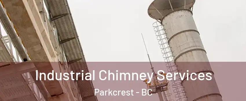  Industrial Chimney Services Parkcrest - BC