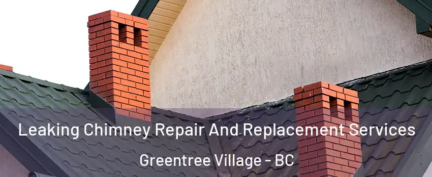  Leaking Chimney Repair And Replacement Services Greentree Village - BC