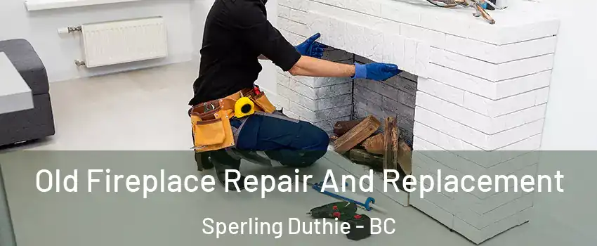  Old Fireplace Repair And Replacement Sperling Duthie - BC