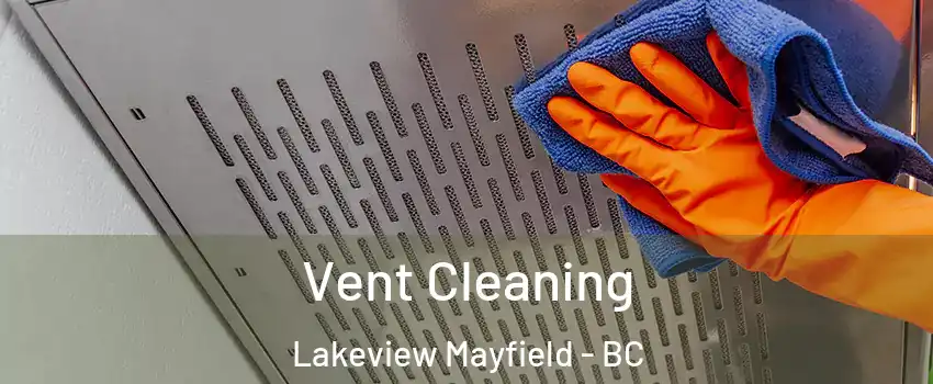  Vent Cleaning Lakeview Mayfield - BC
