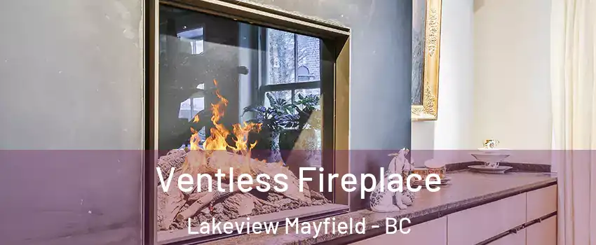  Ventless Fireplace Lakeview Mayfield - BC